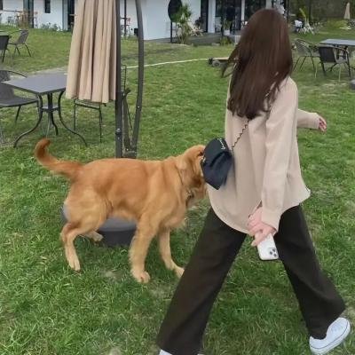死产儿